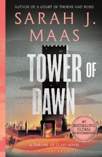 Buchcover und Innenansicht für das Buch: Tower of Dawn