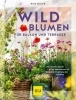 Buchcover und Innenansicht für das Buch: Wildblumen für Balkon und Terrasse