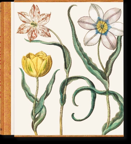 Buchcover und Innenansicht für das Buch: Basilius Besler. The Garden at Eichstätt