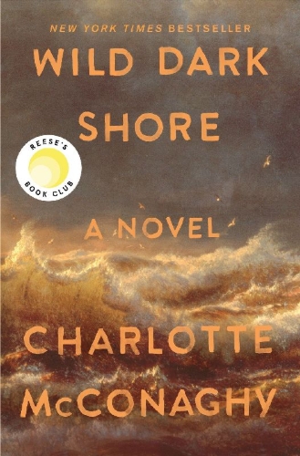 Buchcover und Innenansicht für das Buch: Wild Dark Shore