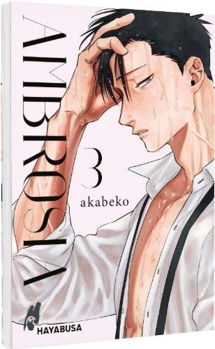 Buchcover und Innenansicht für das Buch: Mitsuka