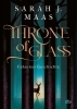 Buchcover und Innenansicht für das Buch: The Assassins's Blade