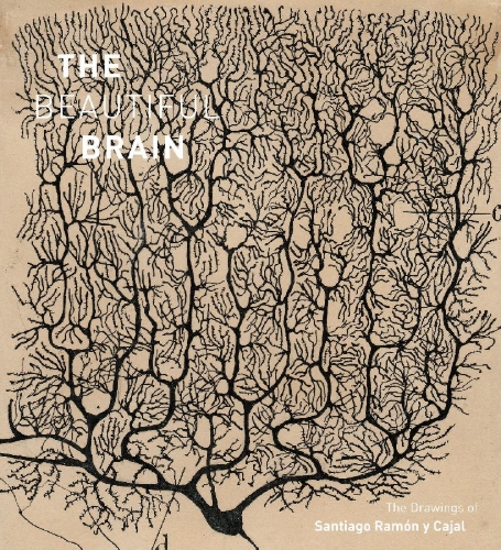 Buchcover und Innenansicht für das Buch: The Beautiful Brain
