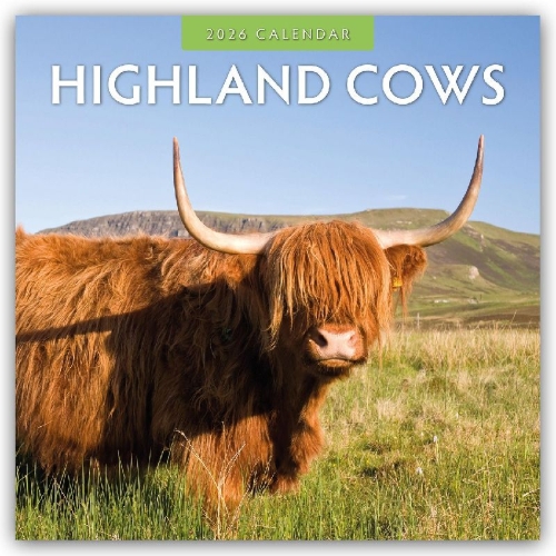 Buchcover und Innenansicht für das Buch: Highland Cows 2026 Square Wall Calendar