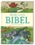 Buchcover und Innenansicht für das Buch: Meine erste Bibel