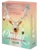 Buchcover und Innenansicht für das Buch: The Spirit Animal Oracle Cards
