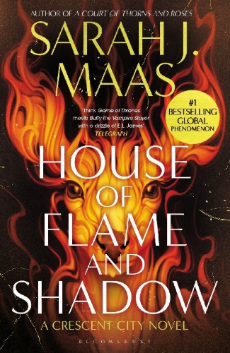 Buchcover und Innenansicht für das Buch: House of Flame and Shadow