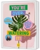 Buchcover und Innenansicht für das Buch: You're overwatering it!