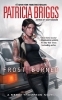 Buchcover und Innenansicht für das Buch: Frost Burned