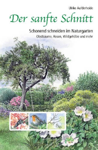 Buchcover und Innenansicht für das Buch: Der sanfte Schnitt