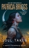 Buchcover und Innenansicht für das Buch: Soul Taken