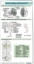 Buchcover und Innenansicht für das Buch: Neuro Imaging pocketcard Set