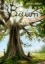 Buchcover und Innenansicht für das Buch: Baum der Wünsche