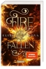 Buchcover und Innenansicht für das Buch: Fire Falling