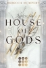 Buchcover und Innenansicht für das Buch: House of Gods