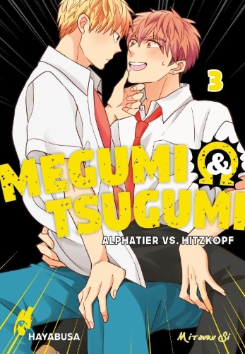 Buchcover und Innenansicht für das Buch: Megumi to Tsugumi