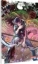 Buchcover und Innenansicht für das Buch: Final Fantasy Lost Stranger
