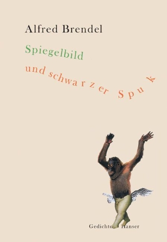 Buchcover und Innenansicht für das Buch: Spiegelbild und schwarzer Spuk