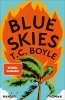 Buchcover und Innenansicht für das Buch: Blue Skies
