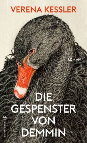 Buchcover und Innenansicht für das Buch: Die Gespenster von Demmin