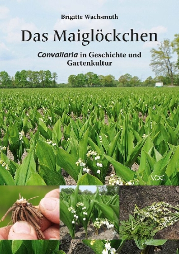 Buchcover und Innenansicht für das Buch: Das Maiglöckchen