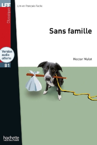Buchcover und Innenansicht für das Buch: Sans famille