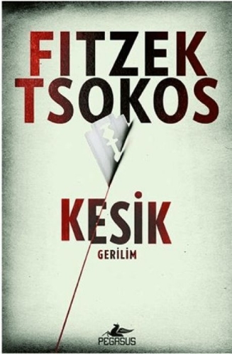 Buchcover und Innenansicht für das Buch: Kesik