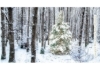 Buchcover und Innenansicht für das Buch: Escape Christmas - Adventskalender