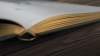 Buchcover und Innenansicht für das Buch: Wundervolle Welt der Tiere