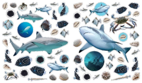 Buchcover und Innenansicht für das Buch: Eyelike Stickers: Ocean