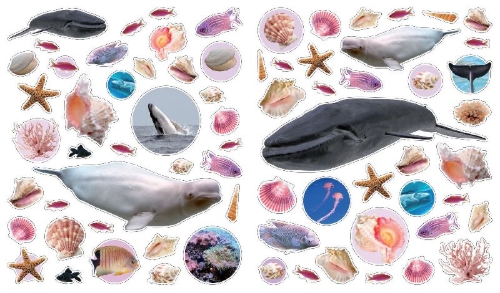 Buchcover und Innenansicht für das Buch: Eyelike Stickers: Ocean