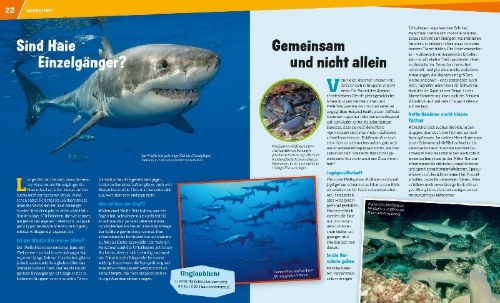 Buchcover und Innenansicht für das Buch: WAS IST WAS Band 95 Haie. Im Reich der schnellen Jäger