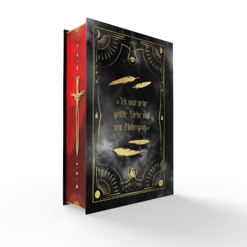 Buchcover und Innenansicht für das Buch: The Ashes and the Star-Cursed King