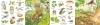 Buchcover und Innenansicht für das Buch: Mein kleines buntes Bildwörterbuch: Im Wald