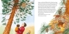 Buchcover und Innenansicht für das Buch: LESEMAUS 8: Das Eichhörnchen