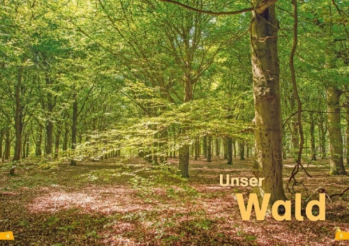 Buchcover und Innenansicht für das Buch: WAS IST WAS Erstes Lesen Band 6. Wald