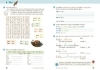 Buchcover und Innenansicht für das Buch: Das 10 Tage Ferienheft Deutsch 4