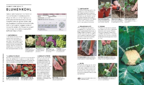 Buchcover und Innenansicht für das Buch: Kleiner Garten - große Ernte