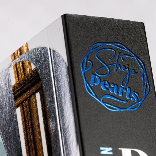 Buchcover und Innenansicht für das Buch: D. N. Angel