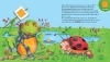 Buchcover und Innenansicht für das Buch: Qua, Qua, Quadrat!, ruft der Frosch