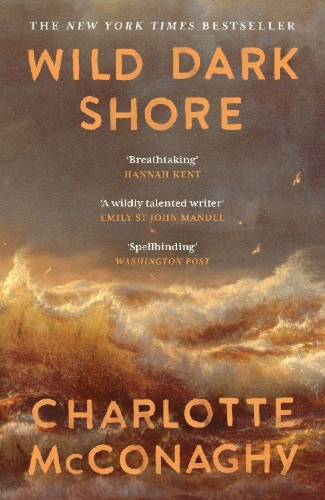 Buchcover und Innenansicht für das Buch: Wild Dark Shore