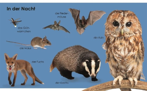 Buchcover und Innenansicht für das Buch: Erstes Lernen mini. Tiere