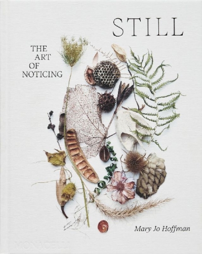 Buchcover und Innenansicht für das Buch: STILL
