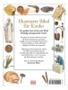 Buchcover und Innenansicht für das Buch: The Children's Illustrated Bible