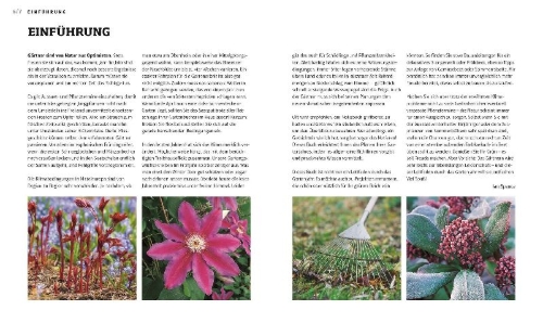 Buchcover und Innenansicht für das Buch: Das Gartenjahr