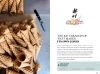 Buchcover und Innenansicht für das Buch: Soul of Berlin- A guide to exceptional experiences