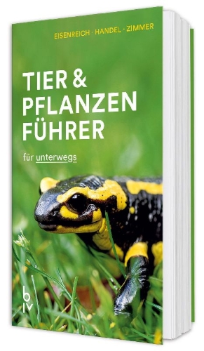 Buchcover und Innenansicht für das Buch: Der BLV Tier & Pflanzenführer