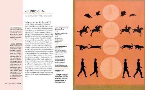 Buchcover und Innenansicht für das Buch: Das Gehirn in 30 Sekunden