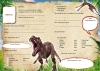 Buchcover und Innenansicht für das Buch: Dinosaurier: Freundebuch