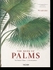 Buchcover und Innenansicht für das Buch: Martius. The Book of Palms